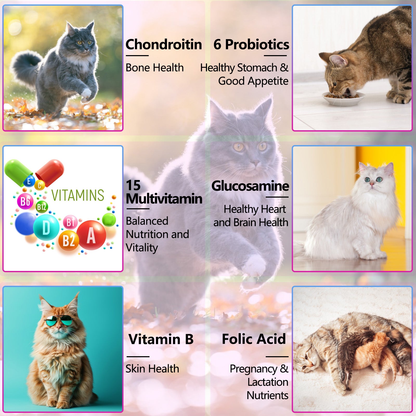 NATEARTH 15 IN 1 MULTIVITAMIN FOR CATS 60ML