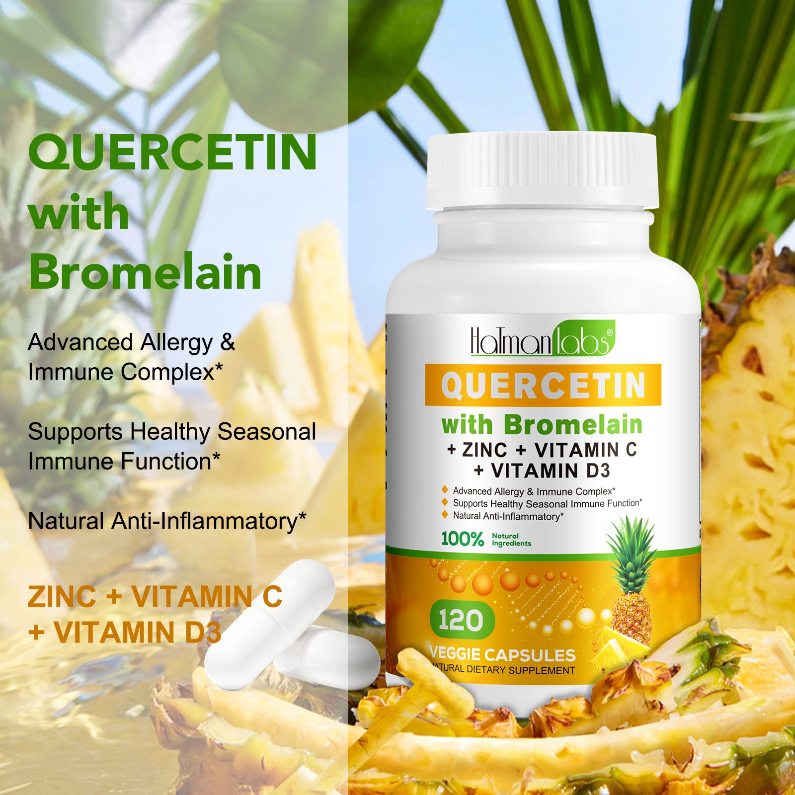HATMANLABS Quercetin Capsules