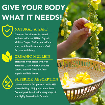 SIKOT MULLEIN LEAF EXTRACT FOR STRONGER LUNGS