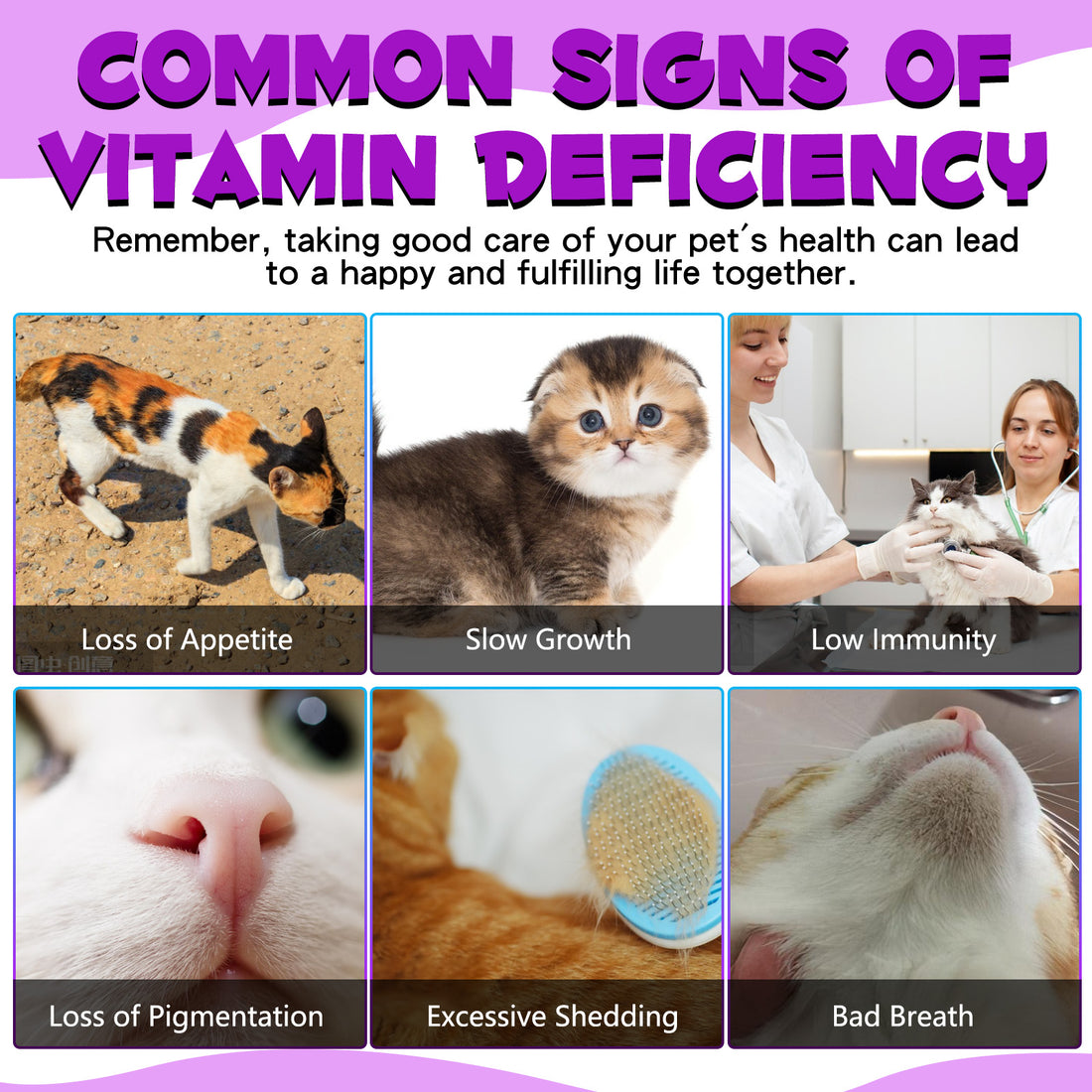 Meifenla 15 in 1 MULTIVITAMIN FOR CATS